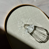 Flower Glass Tea Cup